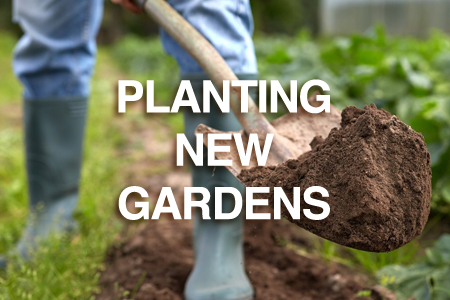 Planting new gardens