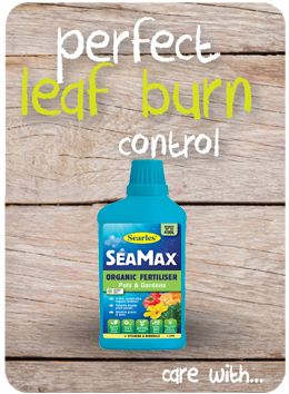 Searles Garden Products - Soil mix fertiliser plant food for controling correcting leaf burn