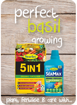 Searles Garden Products - Soil mix fertiliser plant food for growing basil