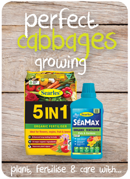Searles Garden Products - Soil mix fertiliser plant food for growing cabbages