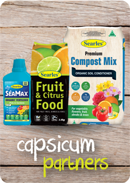 Searles Garden Products - Soil mix fertiliser plant food for growing capsicums