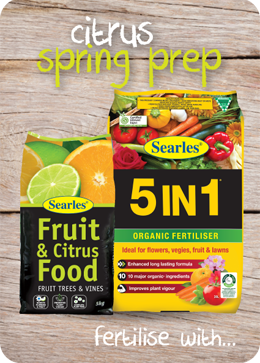 Searles Garden Products - Soil mix fertiliser plant food for growing citrus care in spring