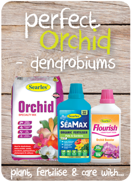 Searles Garden Products - Soil mix fertiliser plant food for growing dendrobium orchid