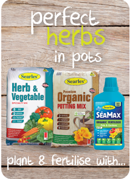 Searles Garden Products - Soil mix fertiliser plant food for growing herbs in pots