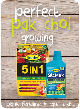 Searles Garden Products - Soil mix fertiliser plant food for growing pak choi