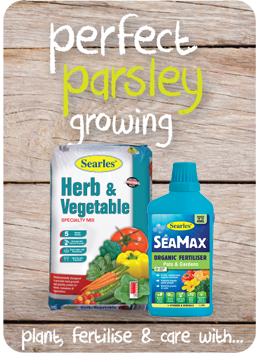 Searles Garden Products - Soil mix fertiliser plant food for growing parsley