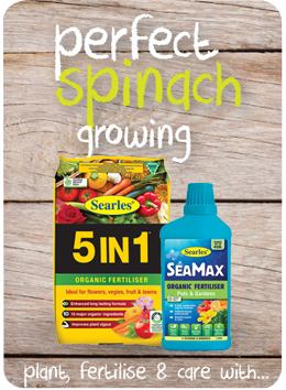 Searles Garden Products - Soil mix fertiliser plant food for growing spinach