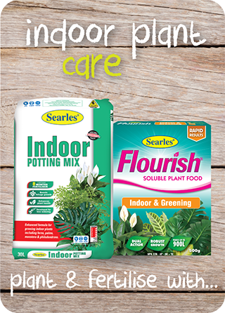 Searles Garden Products - Soil mix fertiliser plant food for indoor plant watering and care