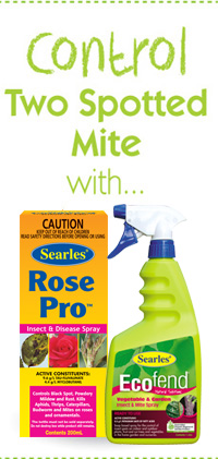 Searles Gardening Problem Solver Controlling Two spotted Mite