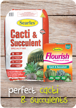 Searles Garden Products - Soil mix fertiliser plant food for growing cacti and succulent
