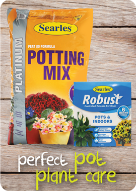 Searles Garden Products - Soil mix fertiliser plant food for pot plant care and maintainence