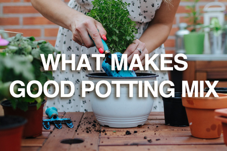 What makes a good potting mix