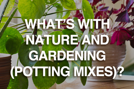 What's with nature and gardening - potting mixes?