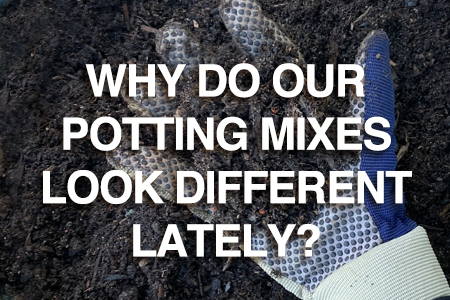 Why do Searles Potting mixes look differently lately?