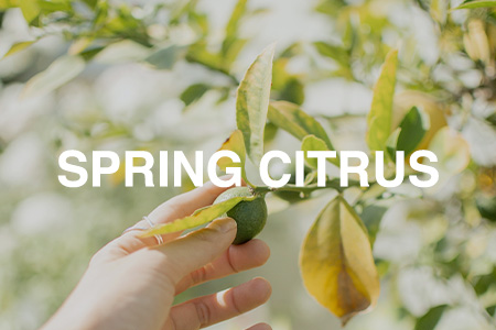 Spring citrus