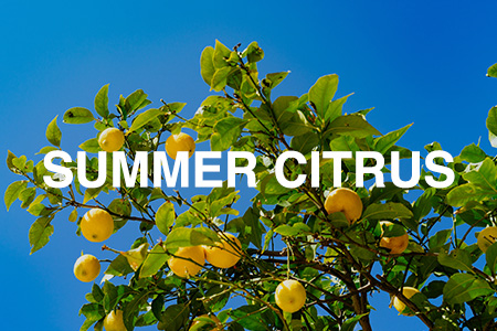 Summer citrus