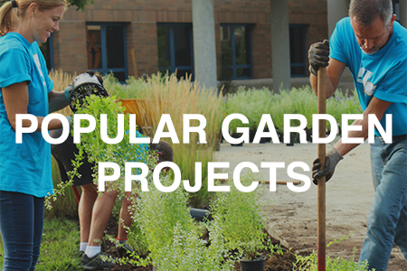 Popular garden projects