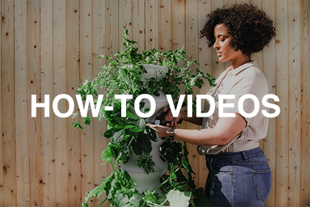 Garden how-to videos