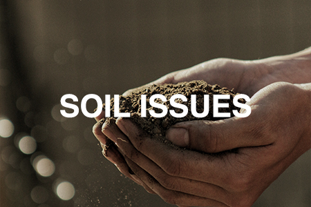 Soil issues