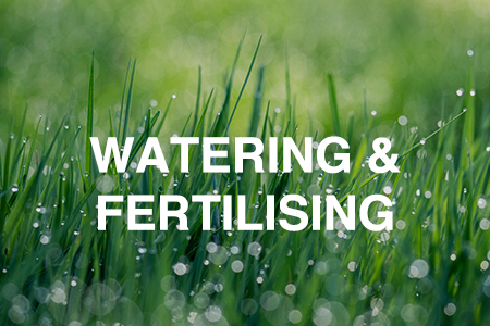 Watering & fertilising