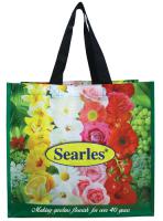 Searles Woven Colour Bag