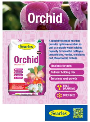 Searles Orchid Specialty Mix