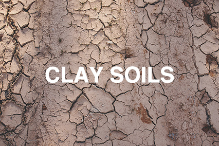 Correcting Clay Soils