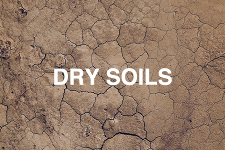 Dry soils