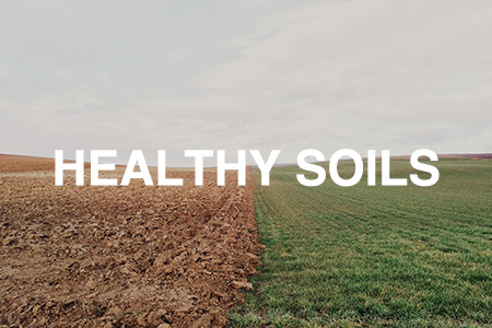 Healthy soils