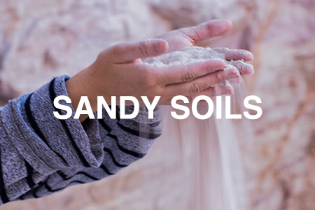 Sandy soils