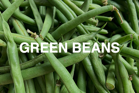 How to grow dwarf green beans