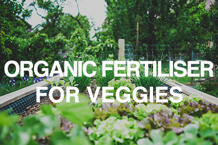 Organic fertiliser for veggies