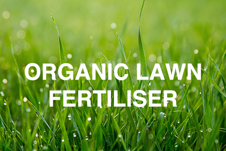 Searles organic lawn fertiliser