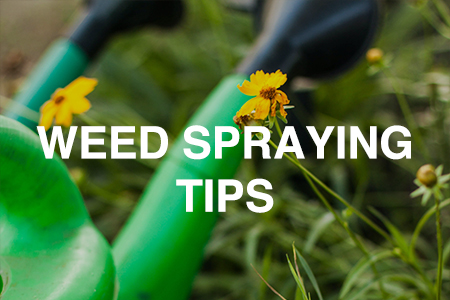 Weed spraying tips