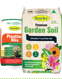 Soils & Planting Mixes