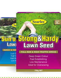 Lawn Seeds