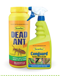 Pest & Disease Control